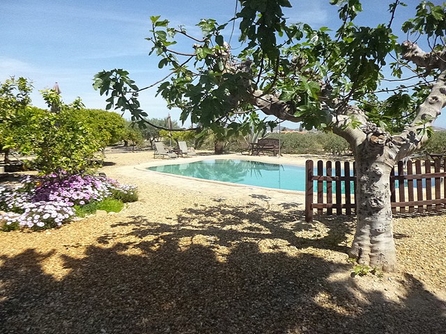 Beautiful Pool At Finca Arboleda.